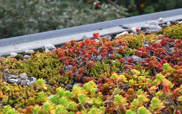 the cost of Stoney Hill green roof installation