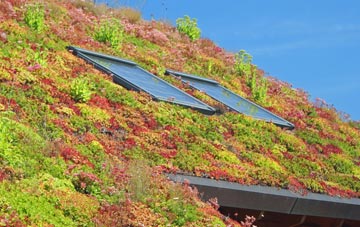 Stoney Hill living roof systems