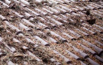 Stoney Hill roof cleaning companies